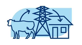 Dairy Sustainability